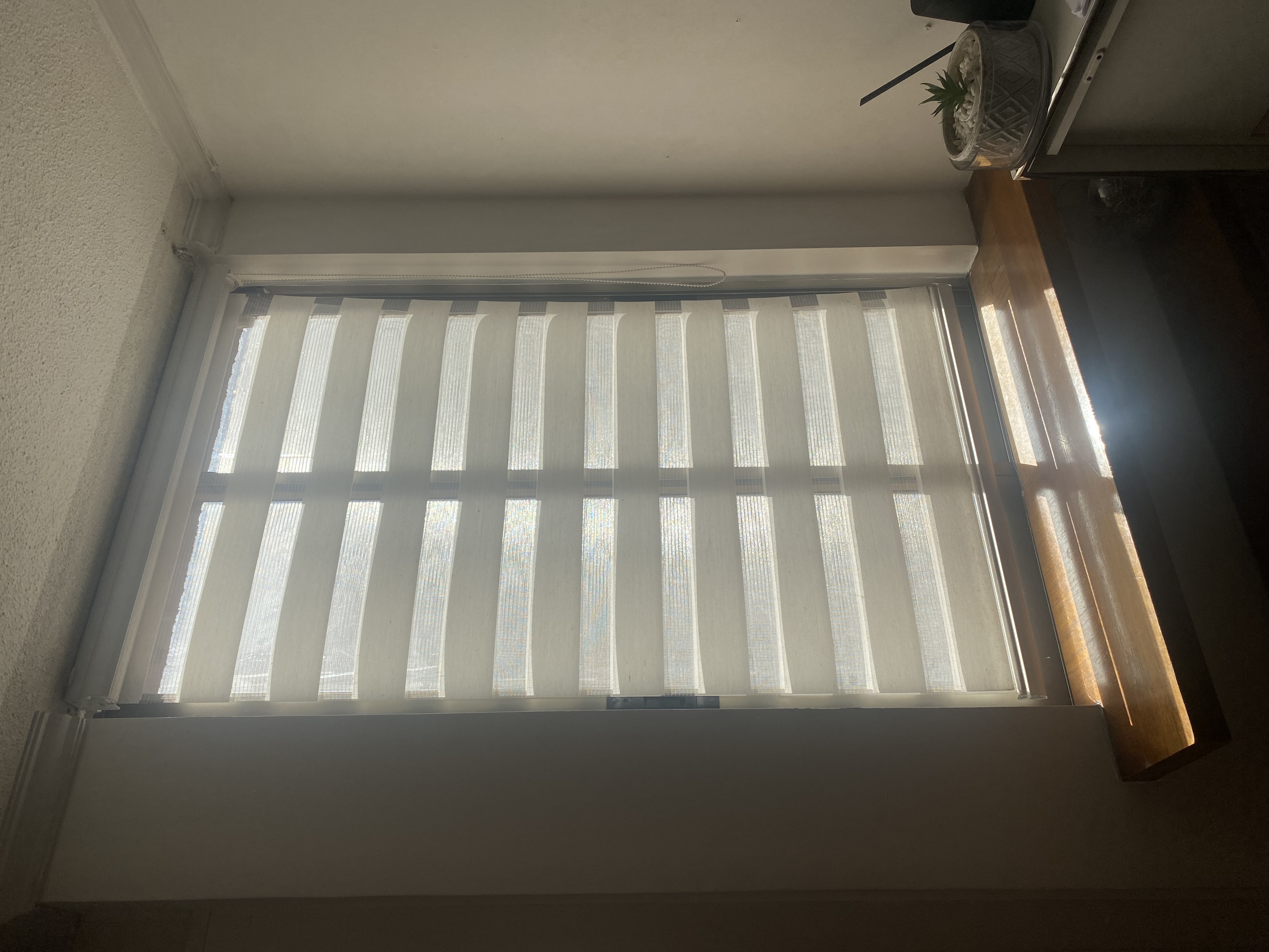 Cortinas Dúo o Dual