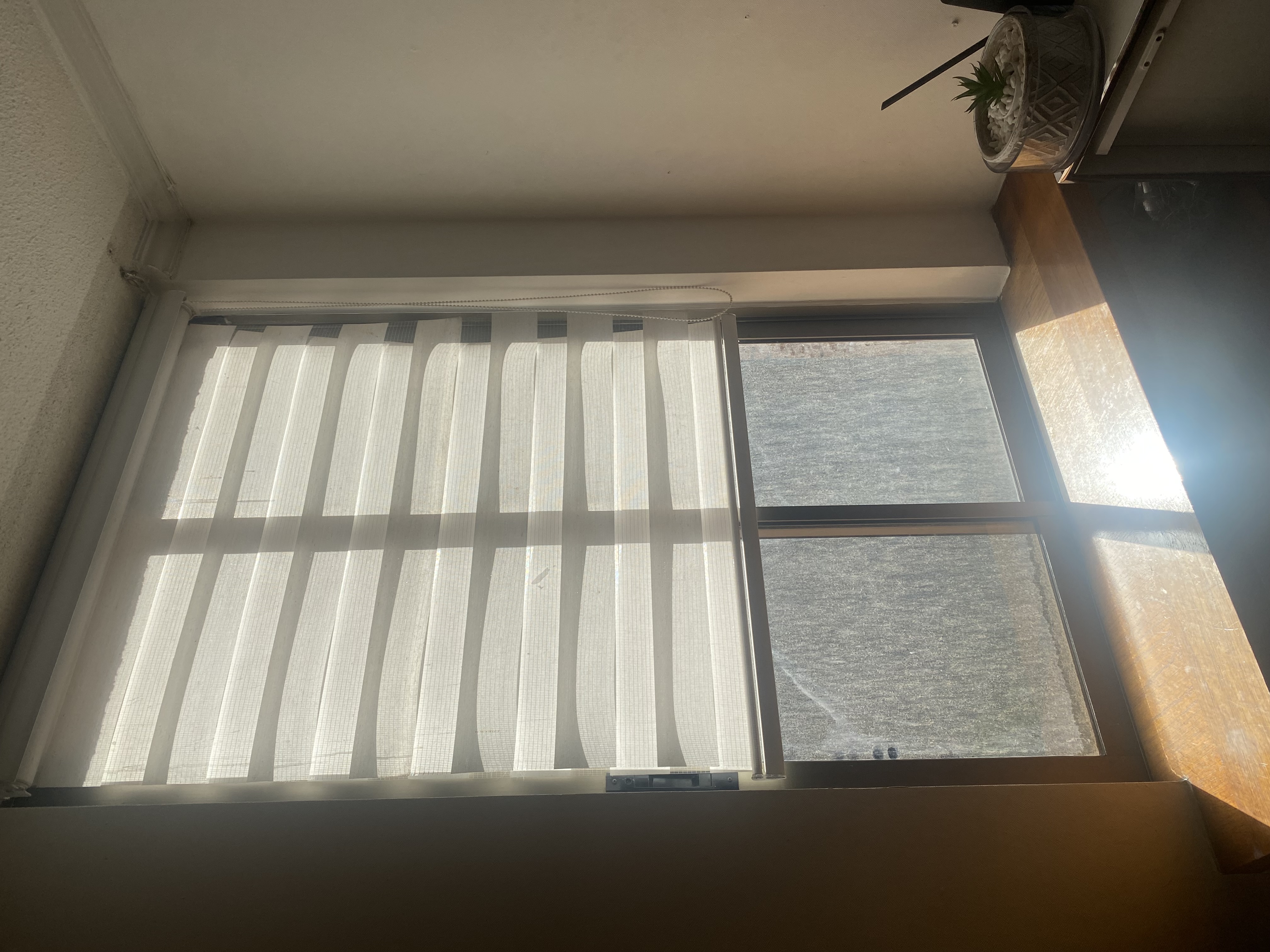 Cortinas Dúo o Dual